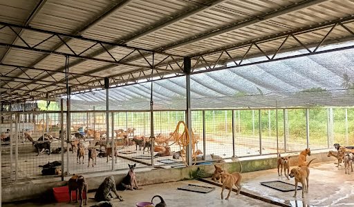 Rumah Kanak-Kanak Terbaik di Bukit Mertajam – Care & Kasih Sayang